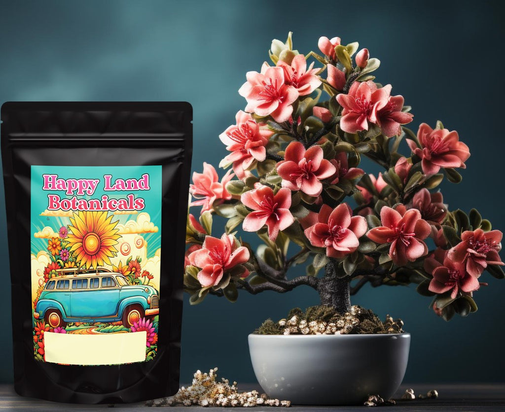 🍵 Red Bali Kratom Powder – Premium Quality | Lab-Tested | Fast Shipping