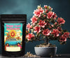 🍵 Red Bali Kratom Powder – Premium Quality | Lab-Tested | Fast Shipping